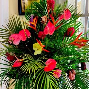 Meet your Posher, Maria